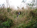 dsc00499